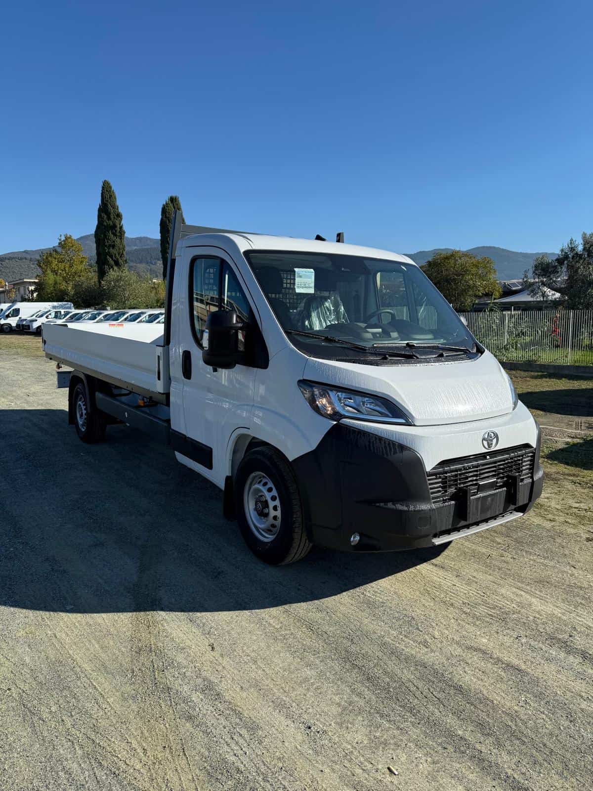 NOLEGGIO FURGONE TOYOTA CASSONATO